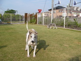 blog