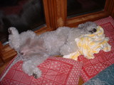 blog