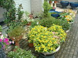blog1