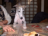 blog