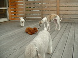 Blog