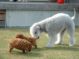 blog