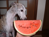 blog1