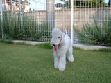 blog