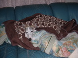 blog