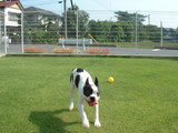 blog
