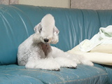 blog1