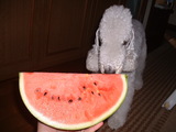 blog1