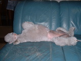 blog1