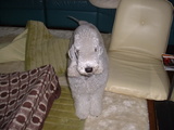 blog