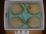 blog1