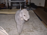 blog