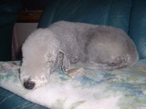 blog