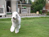 Blog