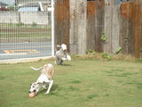 blog