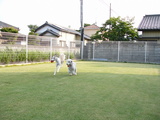 てんじん。