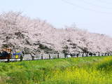 blog1