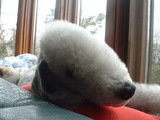 blog