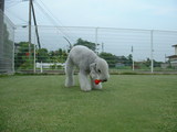 blog