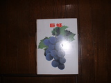 blog