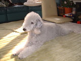 blog