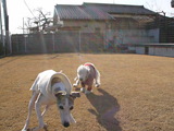blog1