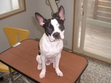 blog