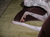 blog