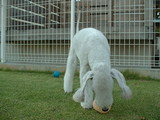 blog