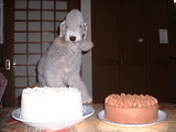blog