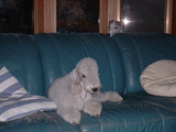 blog