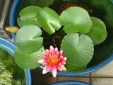 blog