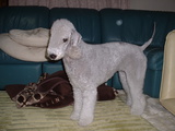 blog1