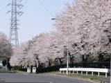 blog1