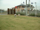 blog