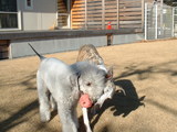 blog