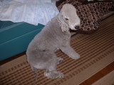 blog
