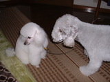 blog