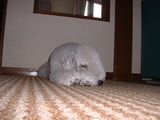 blog1