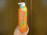 てんじん。