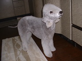 blog