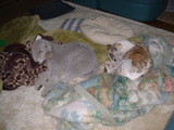 blog