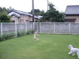 blog