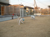 blog