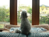 blog1