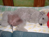 blog