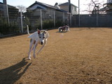 blog1