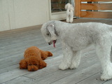 Blog