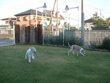 blog