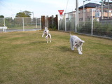 blog